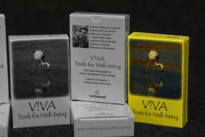 V!VA Tools for Well-being Soon Available